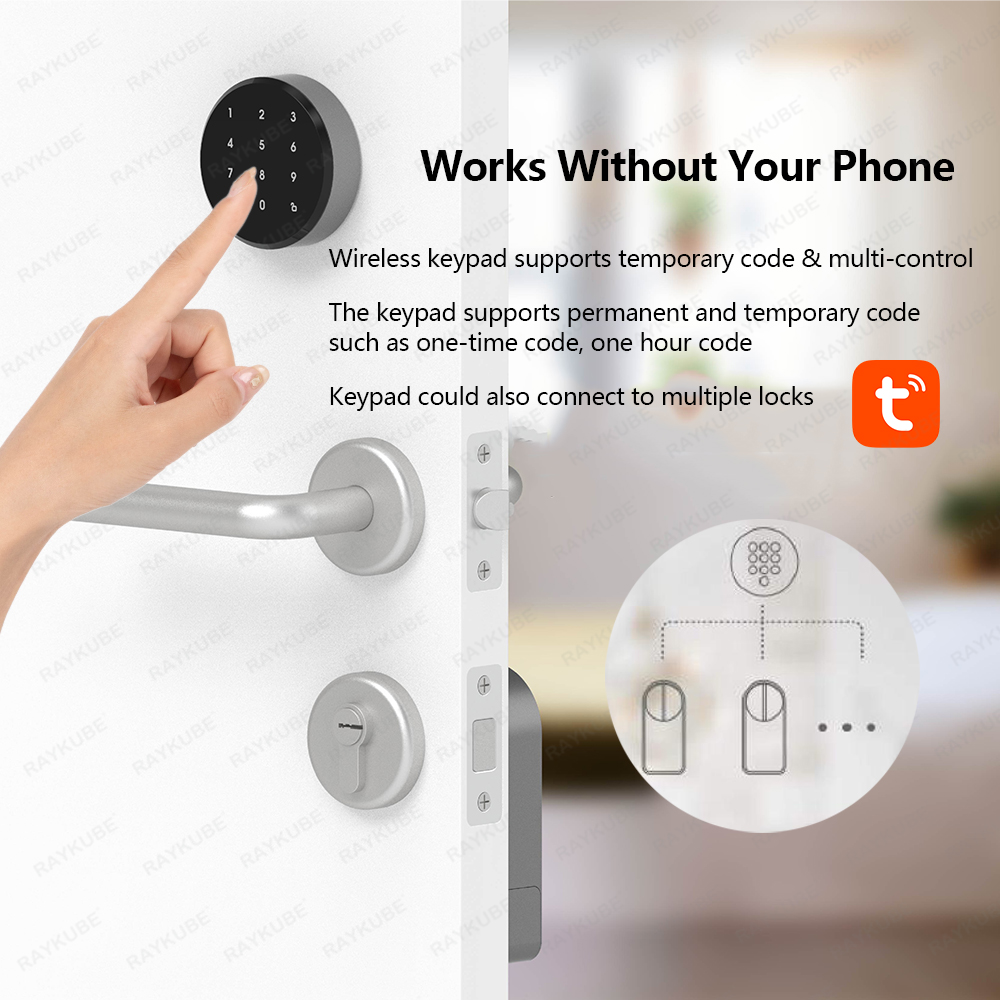 RAYKUBE A1 Pro Tuya BEL ensemb - Woodworking Apps avis et prix