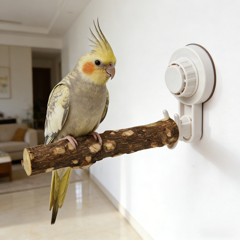Support pour perroquet avec ve - Woodworking Joints avis et prix
